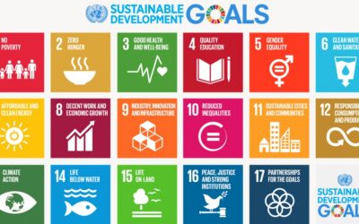 Sustainable Development Goals: The New Corporate Holy Grail?‬‬