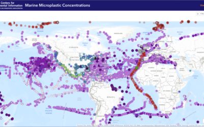 Microplastics, Part 2: Keeping tabs, supporting change